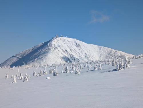 PXL_20250218_121823106.MP_resize